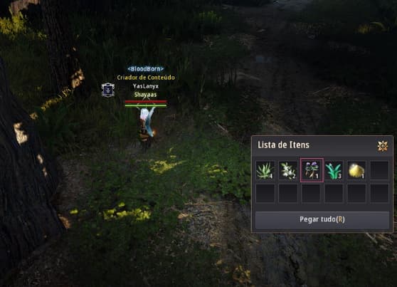 Coleta de Erva Selvagem com a lista de itens obtidos