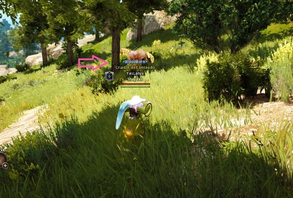 Personagem capturando um cavalo selvagem indicado por uma seta rosa